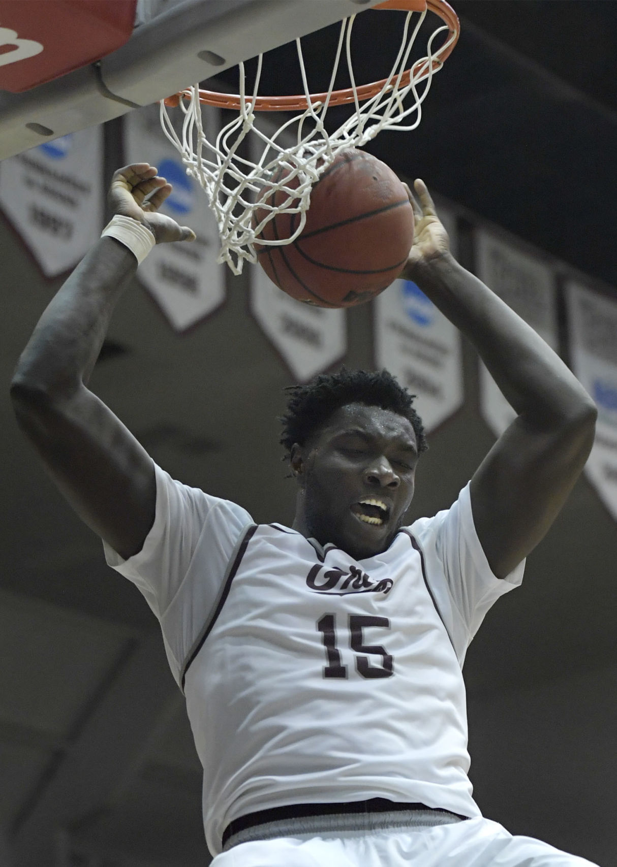 Griz vs Idaho State-3-tm.jpg